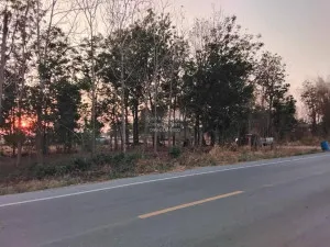 For Sale Vacant Land Phatthana Nikhom  Lopburi  CX-132784