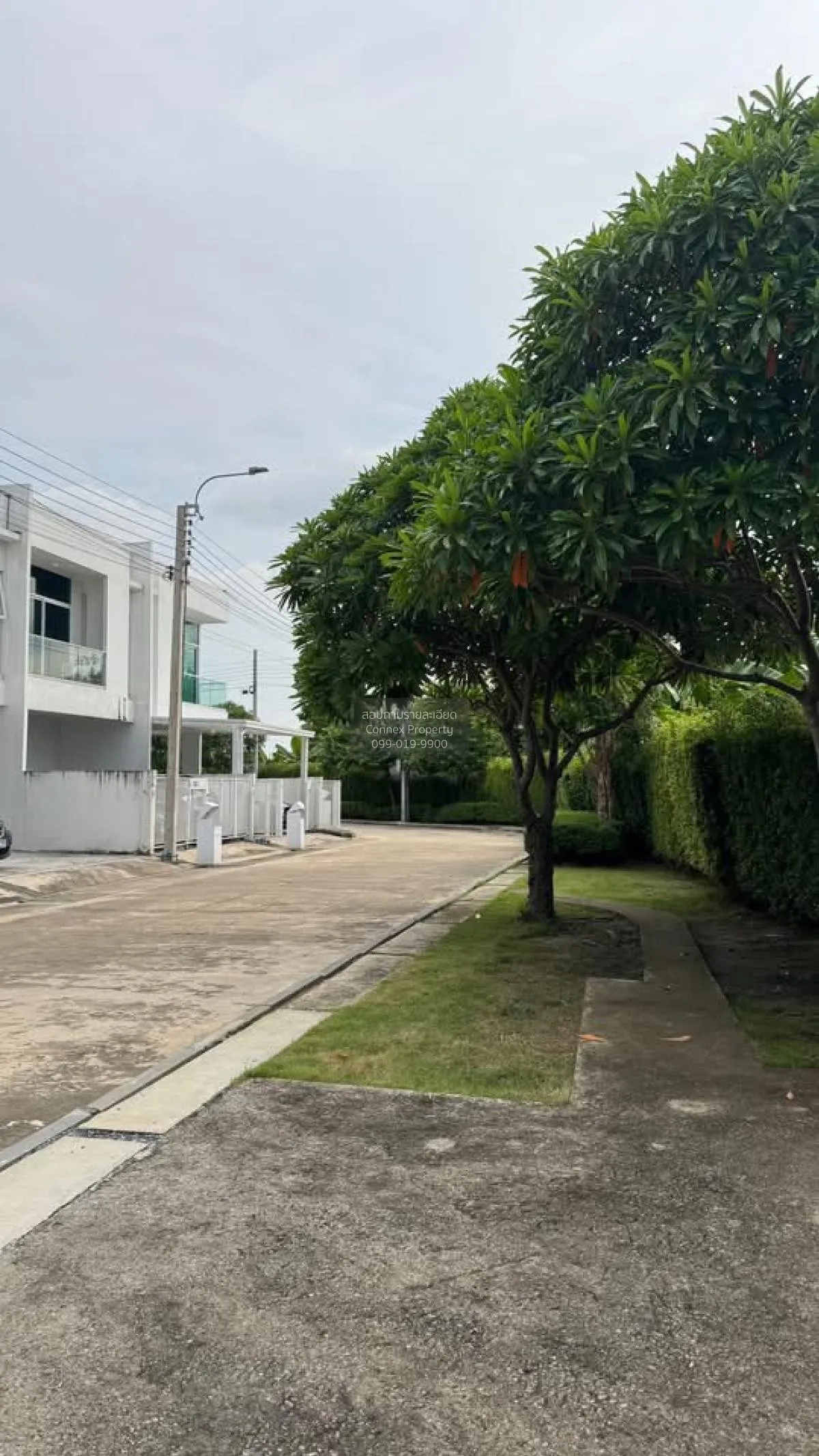 ขายเอเรน บางนา บางพลีใหญ่ บางพลี กรุงเทพ CX-132839