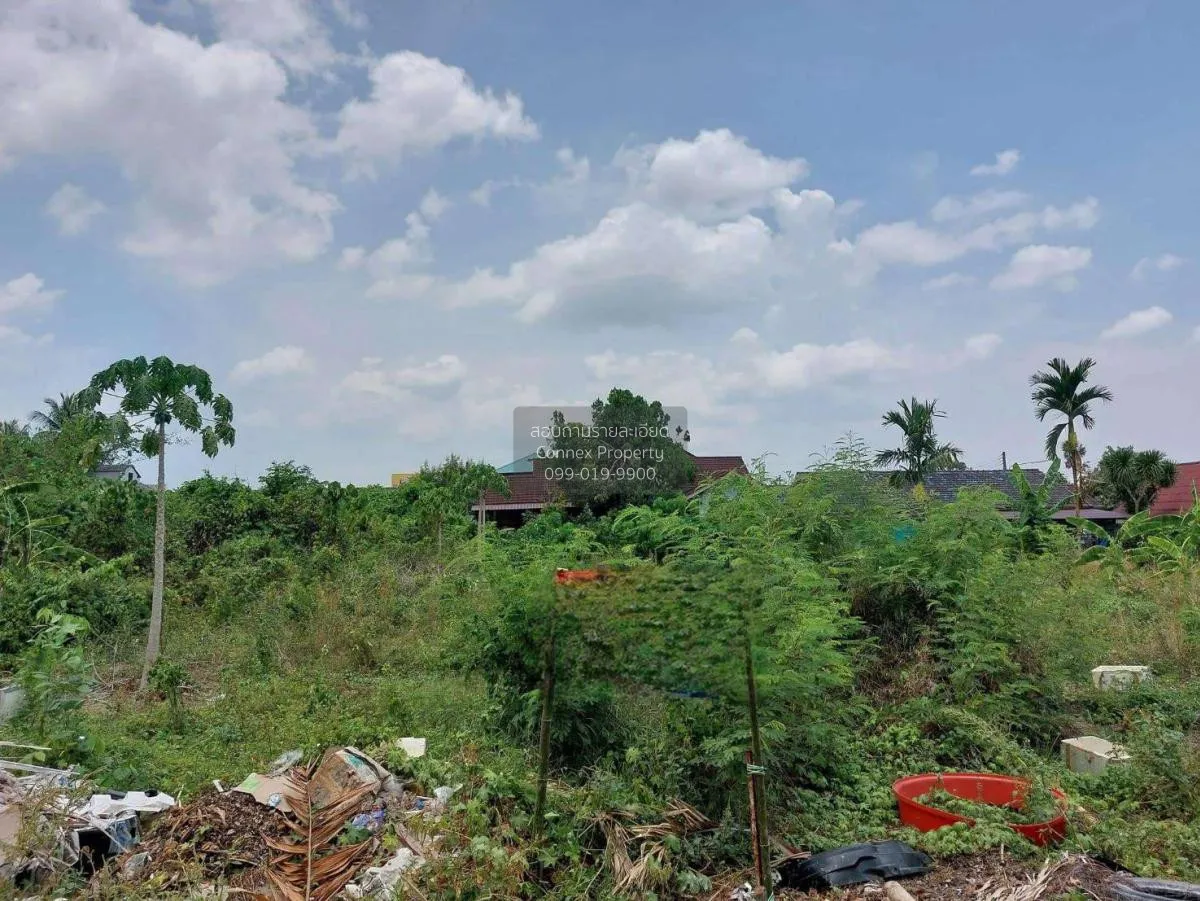 For Sale Vacant land , next to Asia Road, opposite Makro Surat Th 2