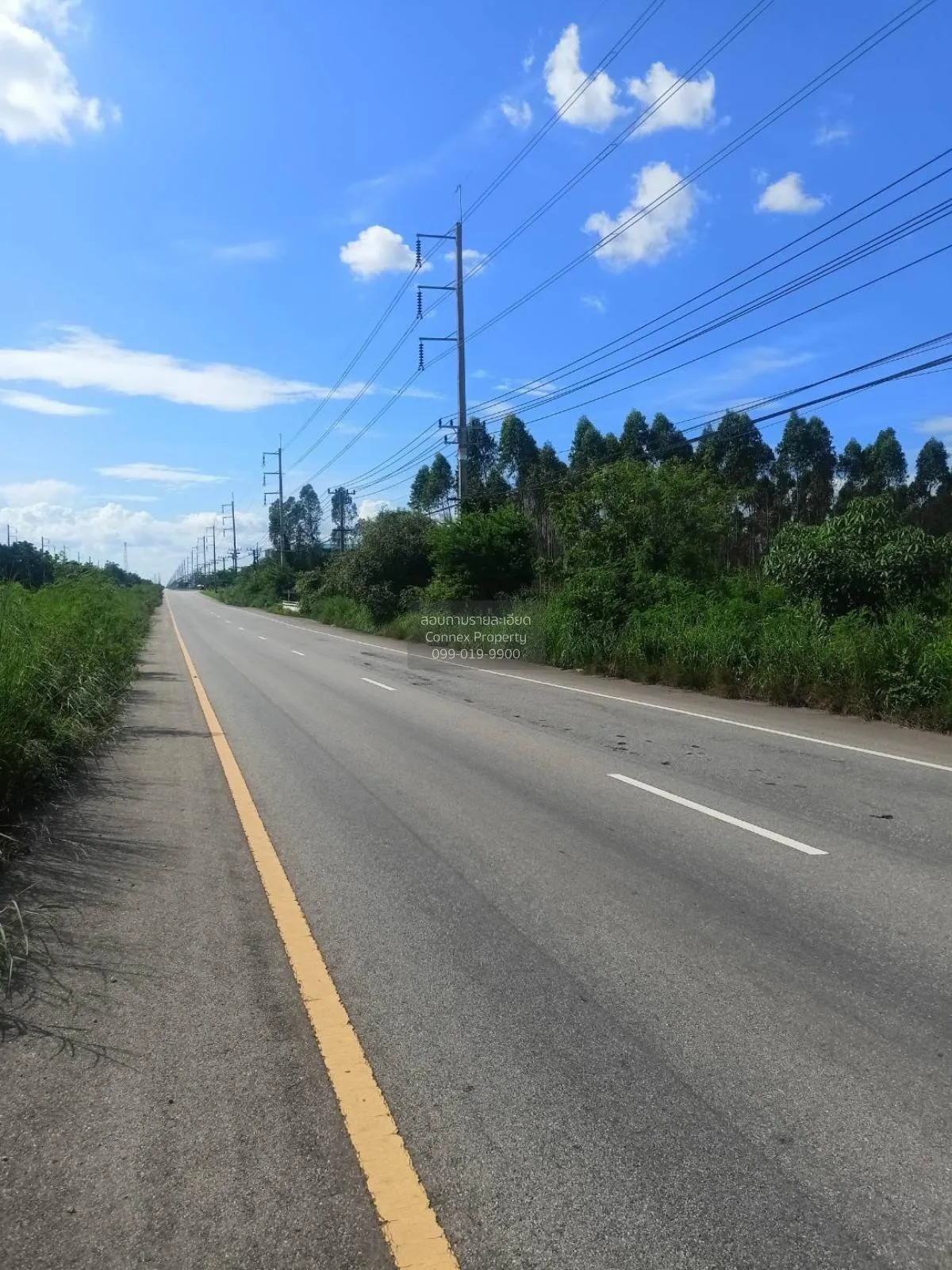 For Sale Vacant Land Kabinburi  Prajinburi  CX-132940 3