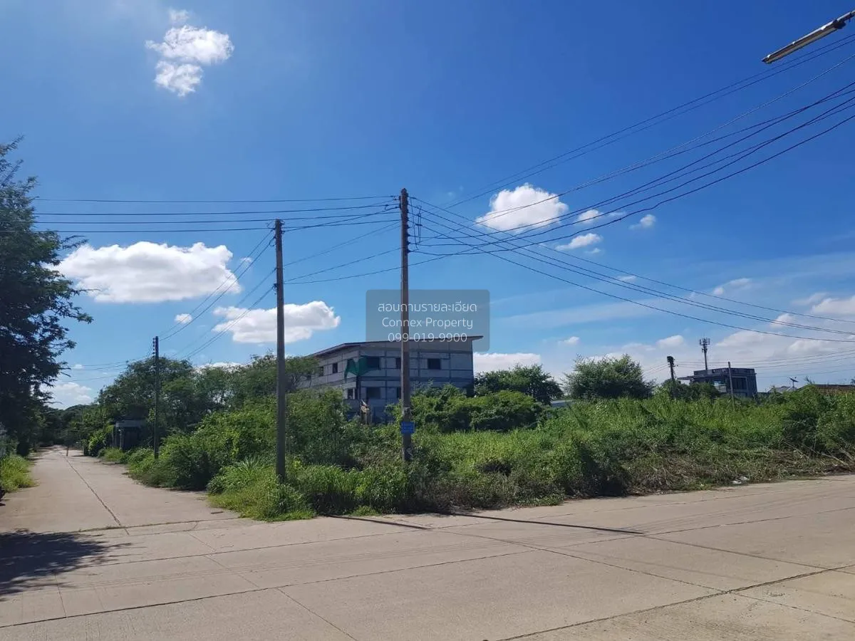 For Rent Land Krathum Lom, Sam Phran, Nakhon Pathom , Bang Krathu 1