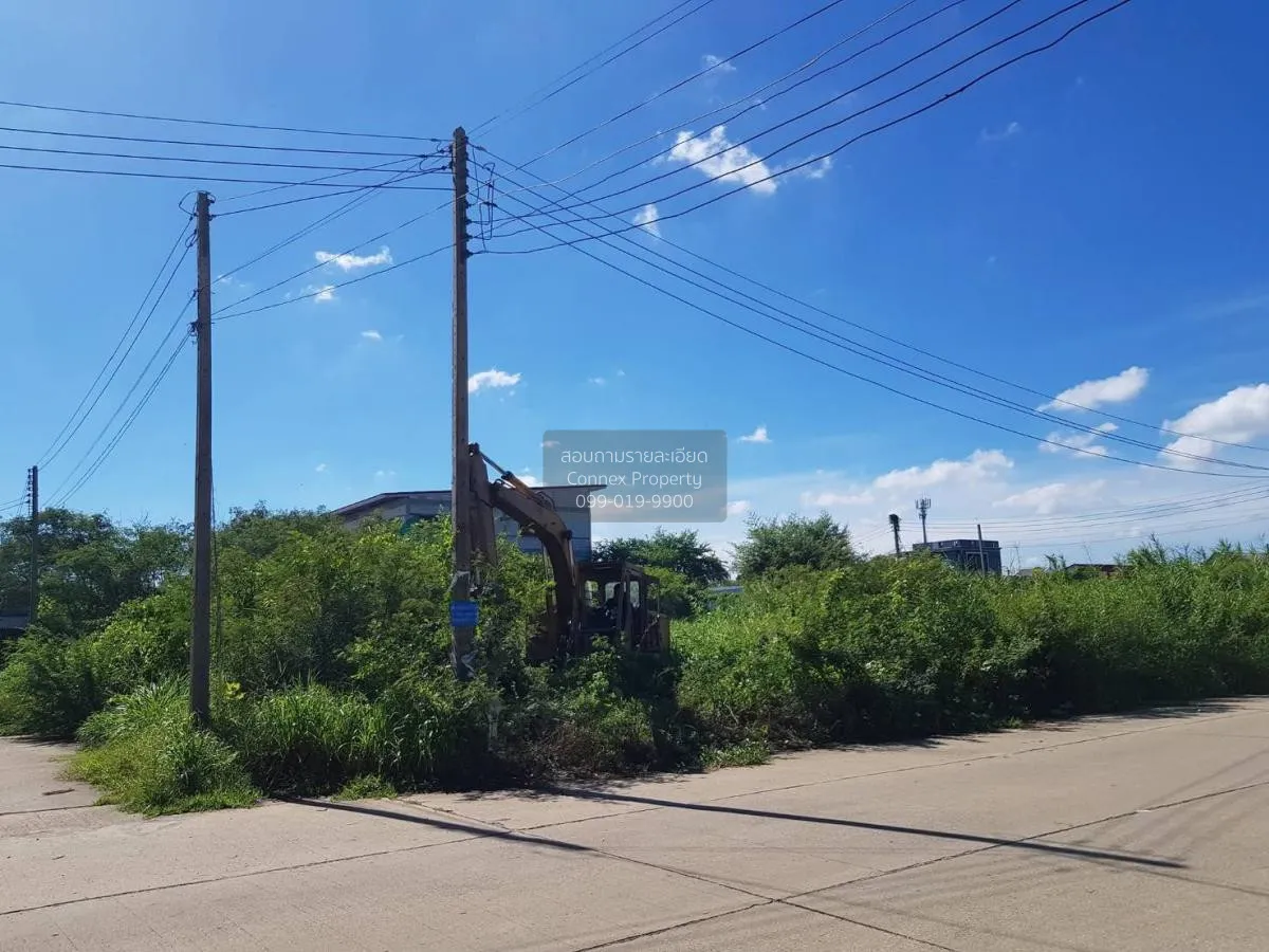 For Rent Land Krathum Lom, Sam Phran, Nakhon Pathom , Bang Krathu 2