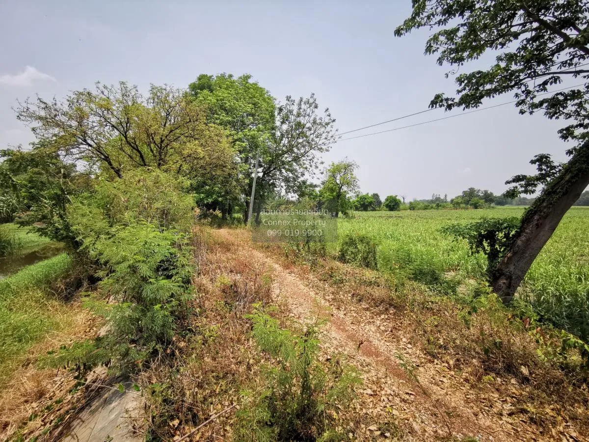 Large plot of land for sale in Khok Samrong , Lopburi  CX-133034 3