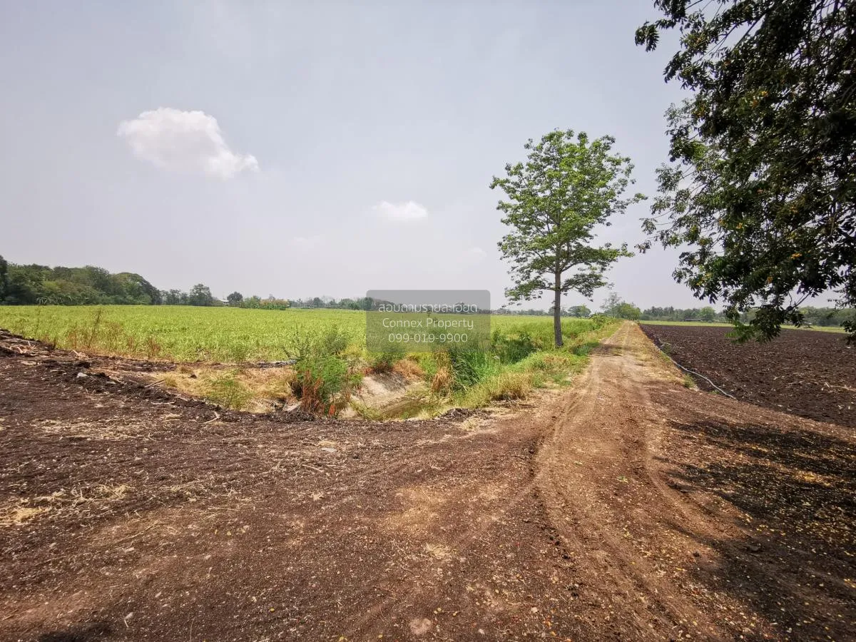 Large plot of land for sale in Khok Samrong , Lopburi  CX-133034