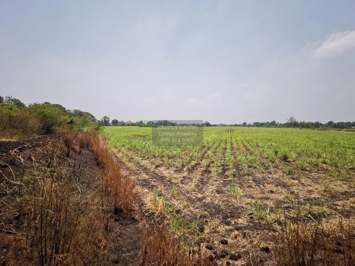 Large plot of land for sale in Khok Samrong , Lopburi  CX-133034