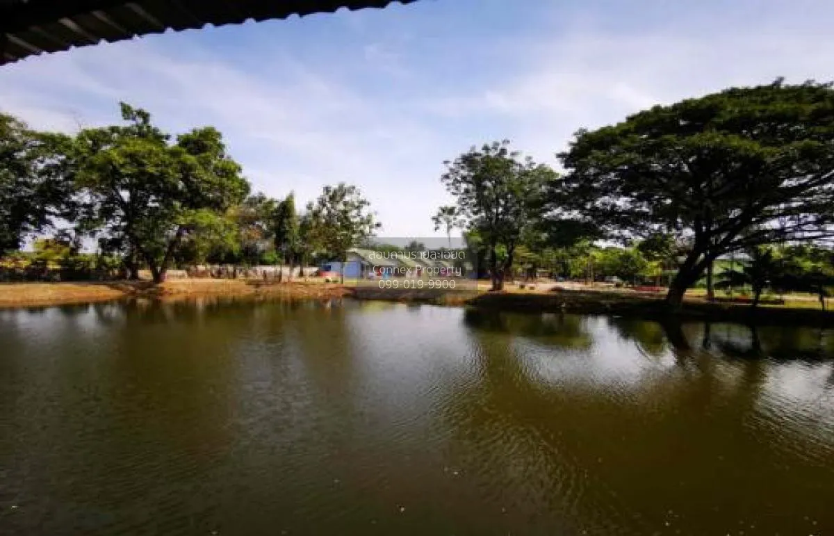 For Sale 32-room resort on 15 rai , Wang Khon Khwang , Khok Samro 3