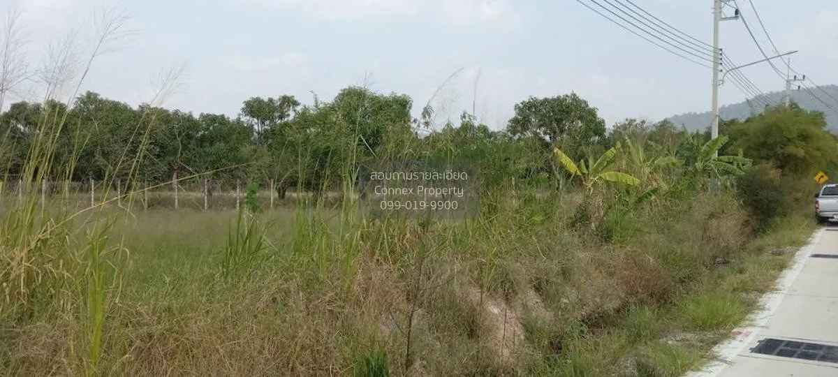 For Sale Prime Land for Sale Near Nong Mon Market, Mueang Chonbur 2