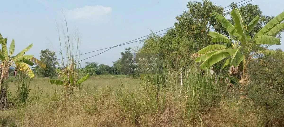 For Sale Prime Land for Sale Near Nong Mon Market, Mueang Chonbur 4