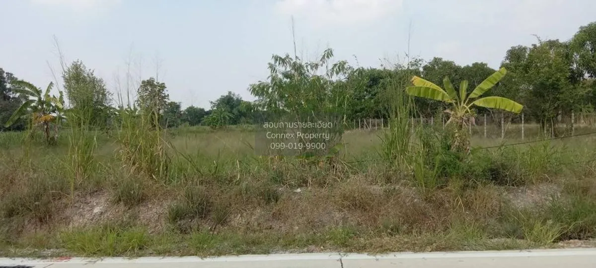 For Sale Prime Land for Sale Near Nong Mon Market, Mueang Chonbur