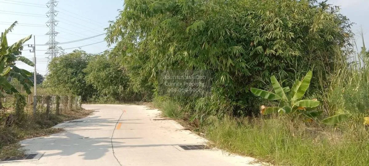 For Sale Prime Land for Sale Near Nong Mon Market, Mueang Chonbur