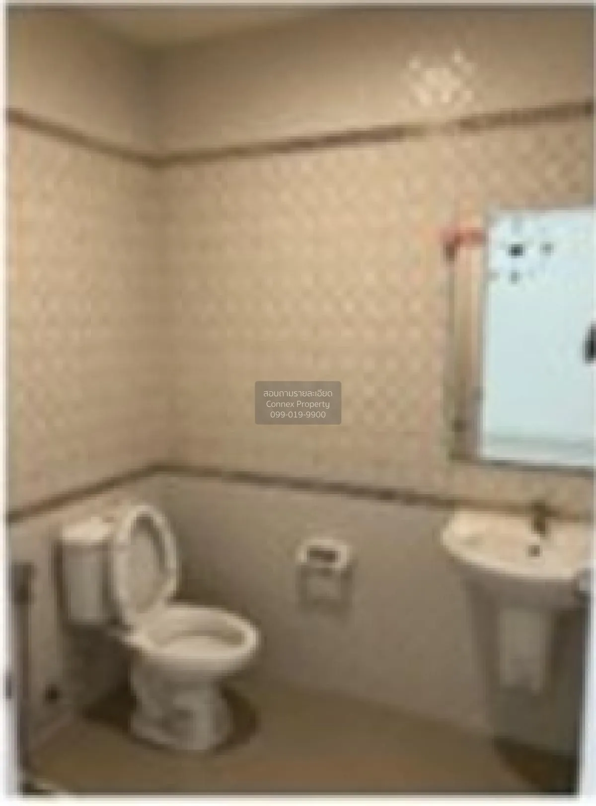 ขายทาวน์เฮ้าส์/ทาวน์โฮม  เปรมประชา อินดี้ บางปะอิน - บ้านเลน บ้าน