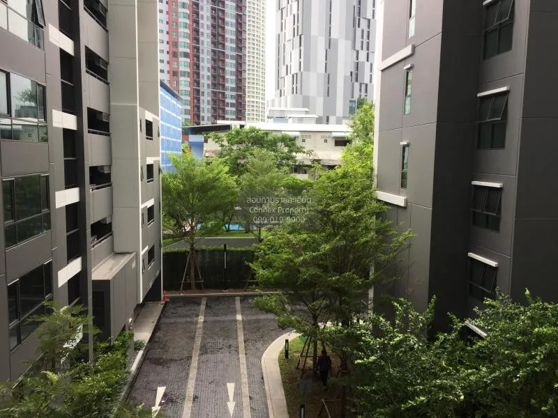 เช่าคอนโด  ไลฟ์ สุขุมวิท 48 BTS-พระโขนง พระโขนง เขต คลองเตย กรุงเ