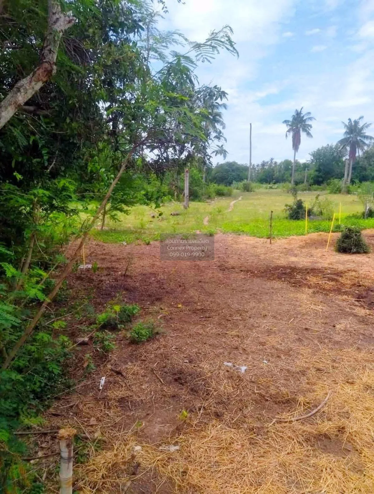 Land Plot for Sale near Wat Yan Sangwararam, Sattahip, Chonburi C 3