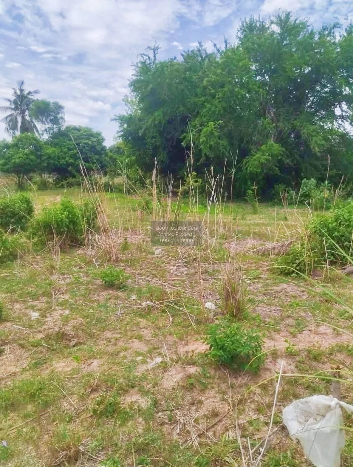 Land Plot for Sale near Wat Yan Sangwararam, Sattahip, Chonburi C 4