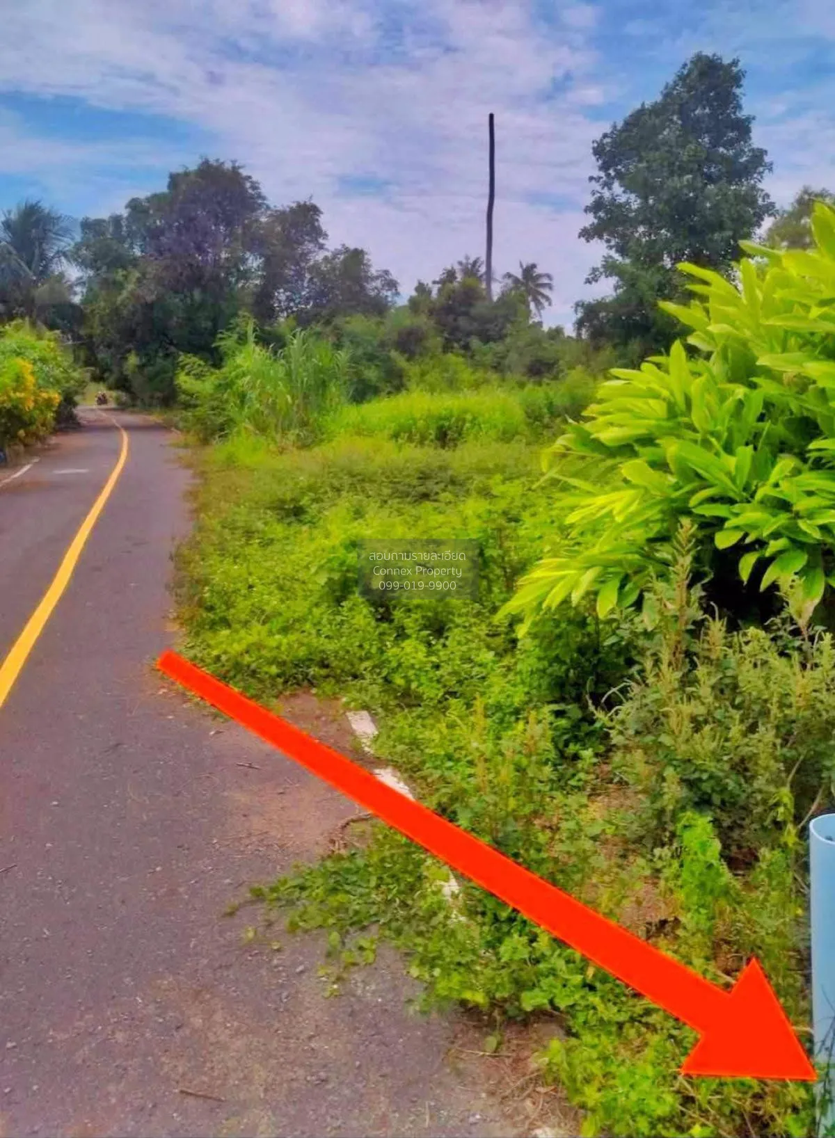 Land Plot for Sale near Wat Yan Sangwararam, Sattahip, Chonburi C