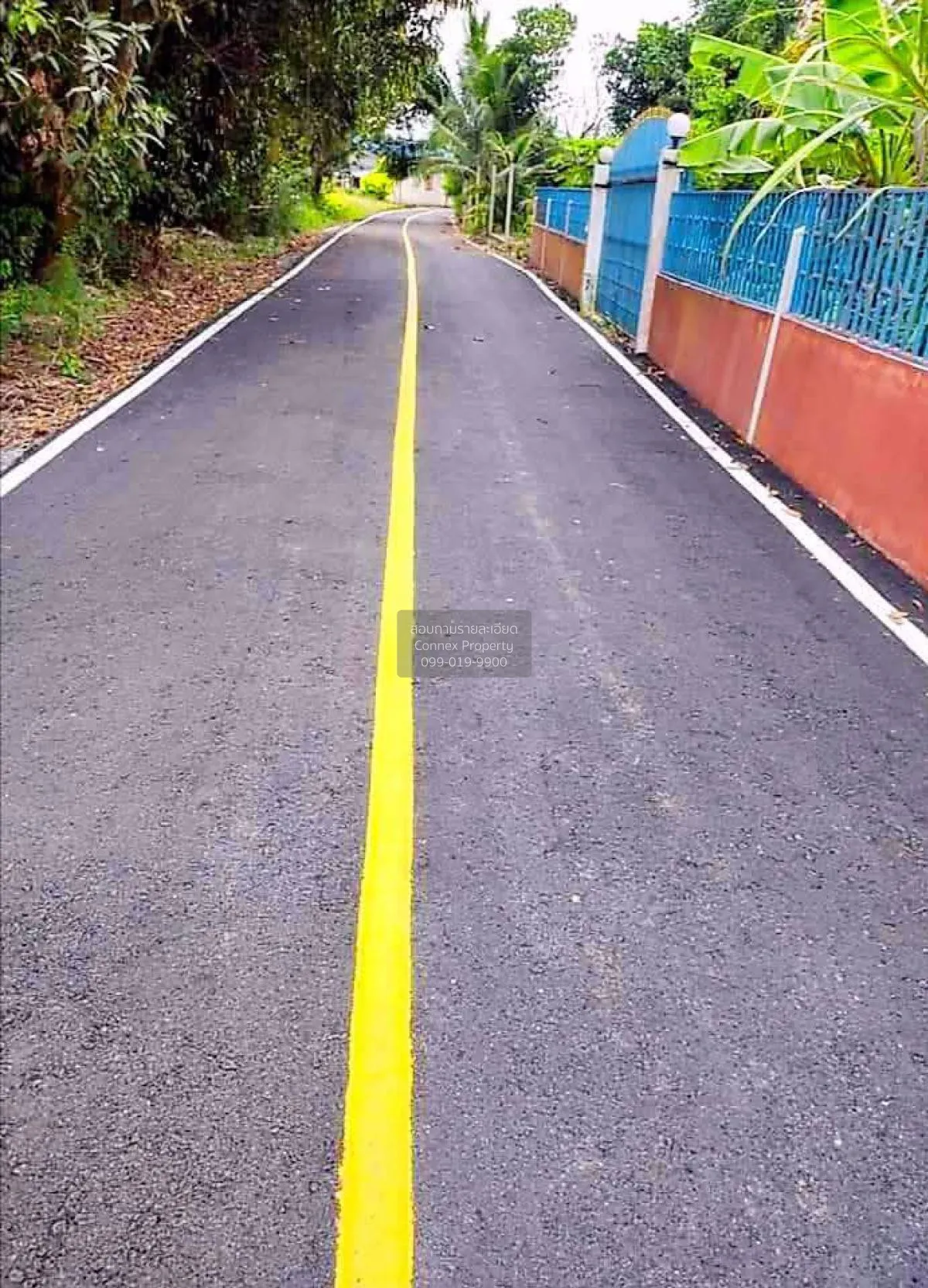 Land Plot for Sale near Wat Yan Sangwararam, Sattahip, Chonburi C 3