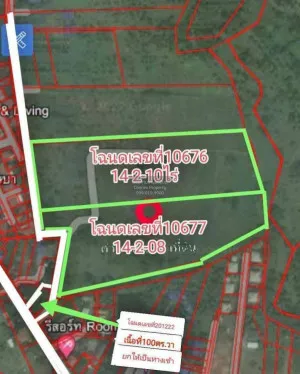 Land Plot for Sale near Wat Yan Sangwararam, Sattahip, Chonburi CX-133801