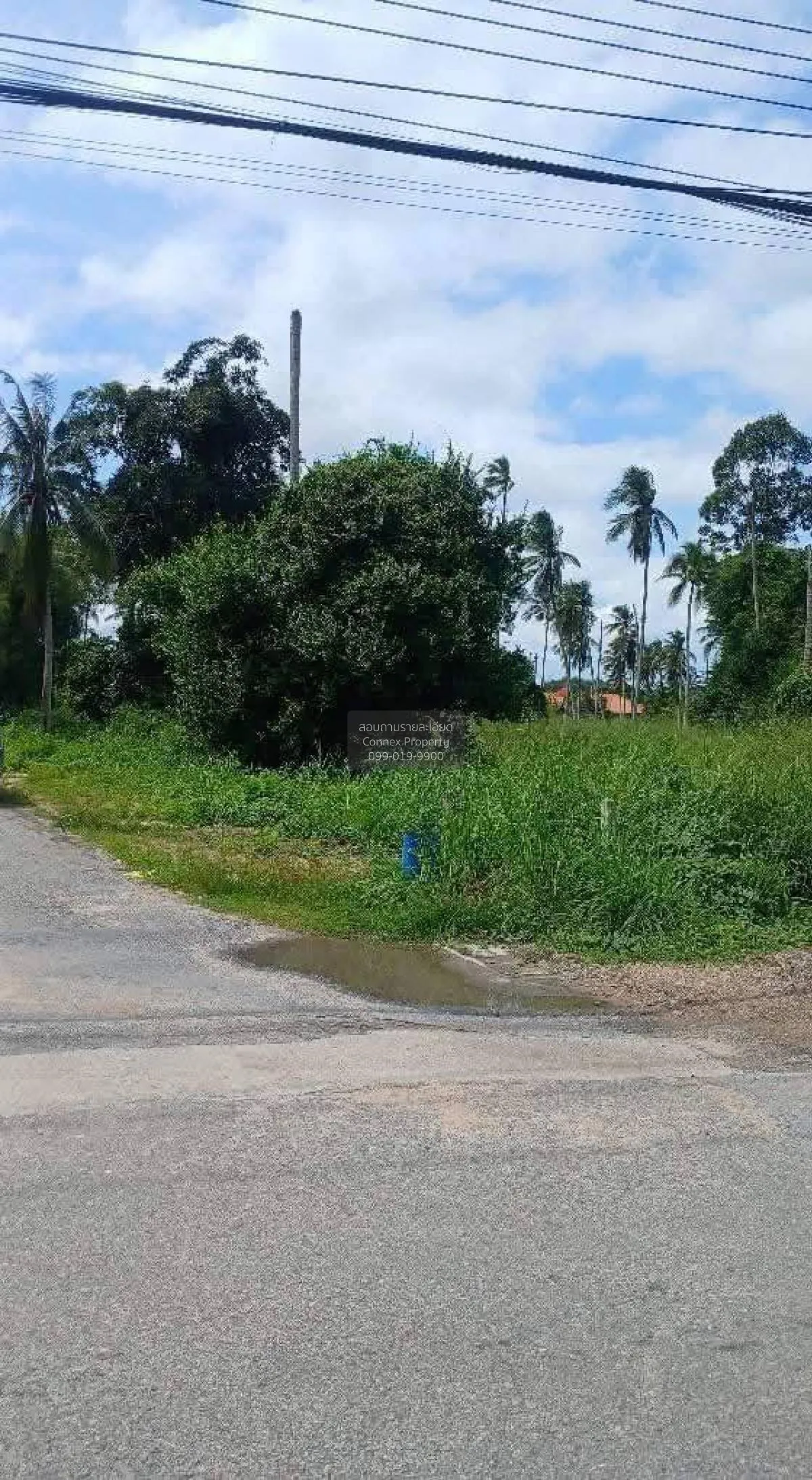 For Sale Triple-Frontage Land Plot, Near Wat Mab Fakthong , Bang  2