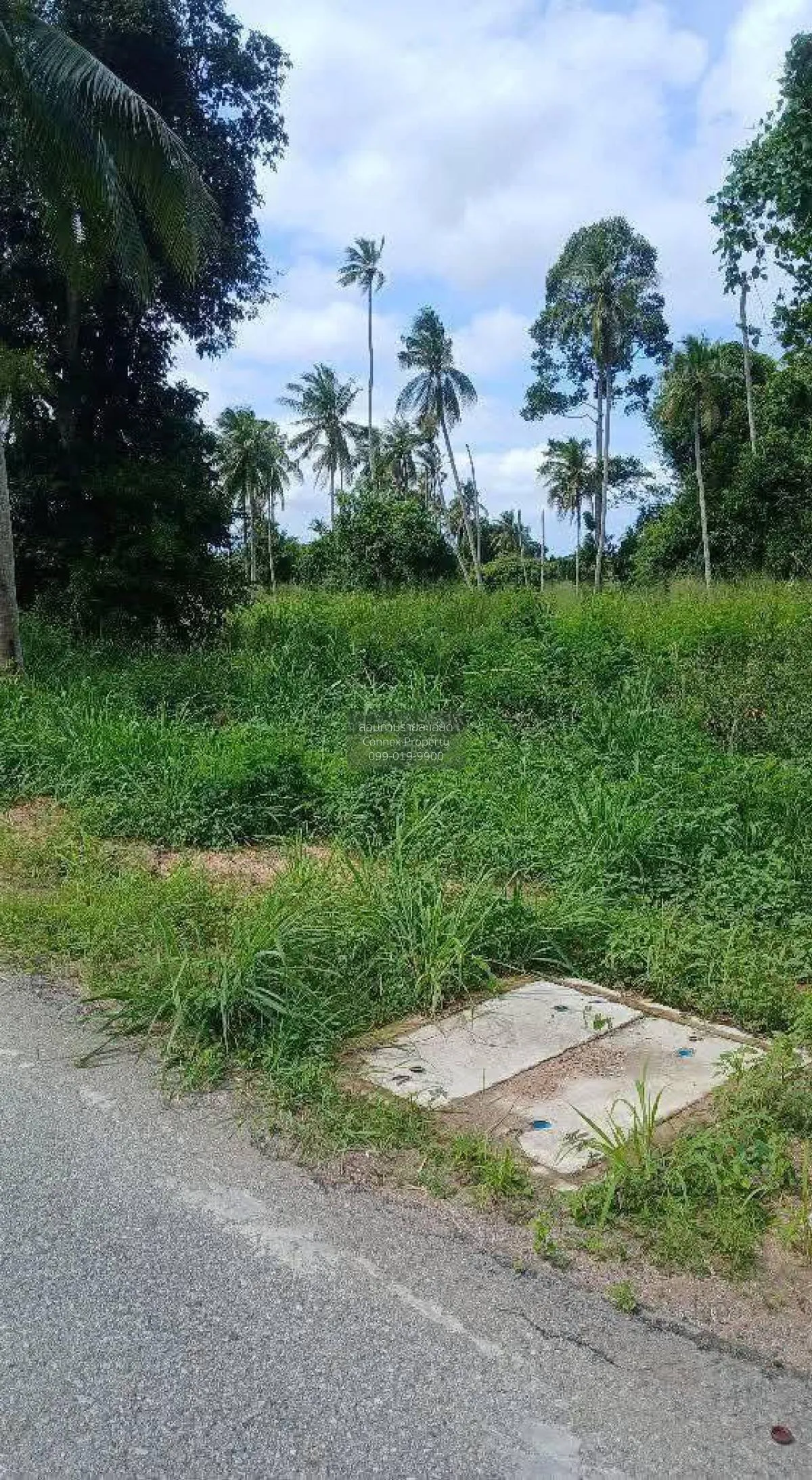 For Sale Triple-Frontage Land Plot, Near Wat Mab Fakthong , Bang  3
