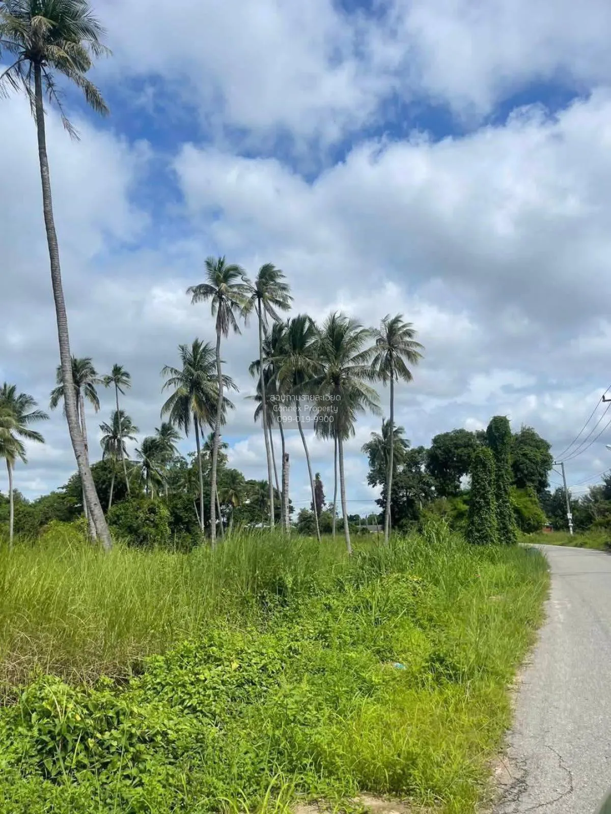 For Sale Triple-Frontage Land Plot, Near Wat Mab Fakthong , Bang  4