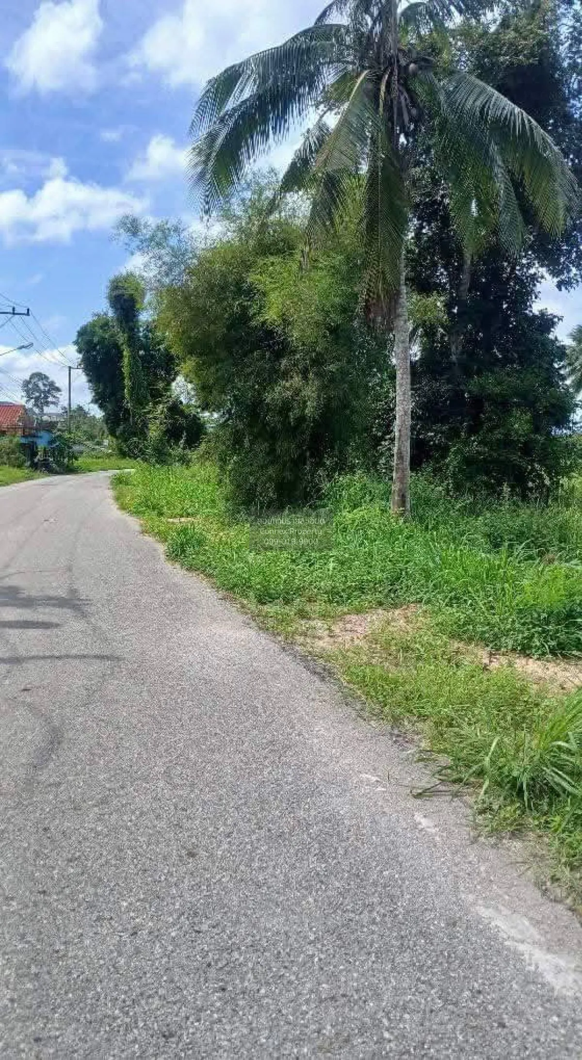 For Sale Triple-Frontage Land Plot, Near Wat Mab Fakthong , Bang 