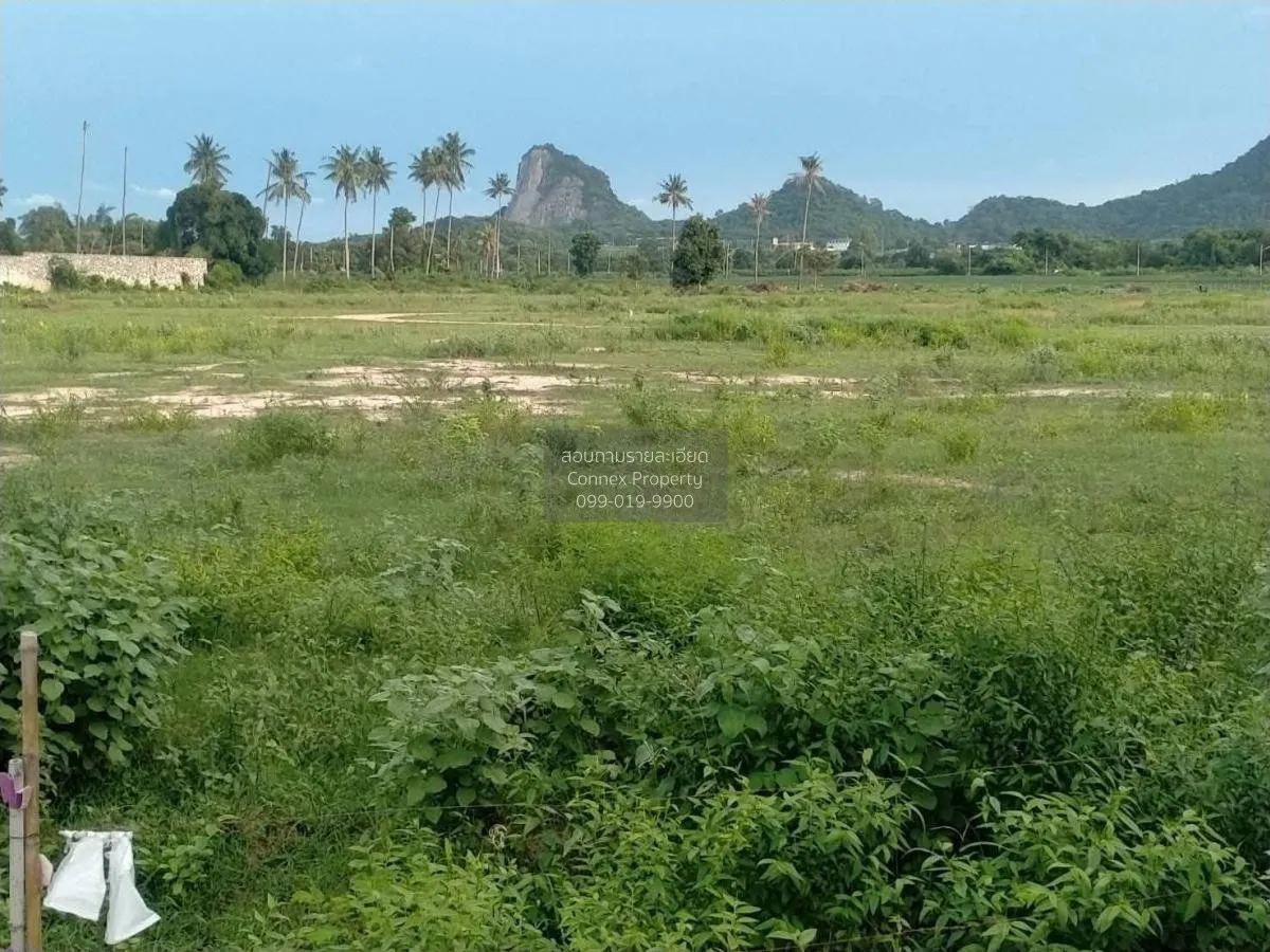 For Sale: Vacant Land, 54 Rai, Adjacent to Viharn Sien, Sattahip  2