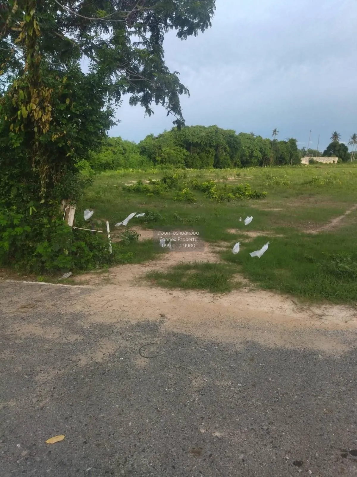 For Sale: Vacant Land, 54 Rai, Adjacent to Viharn Sien, Sattahip  4