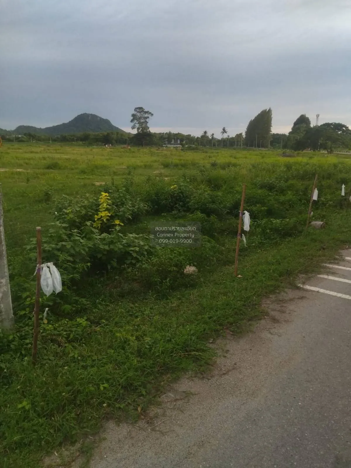 For Sale: Vacant Land, 54 Rai, Adjacent to Viharn Sien, Sattahip 