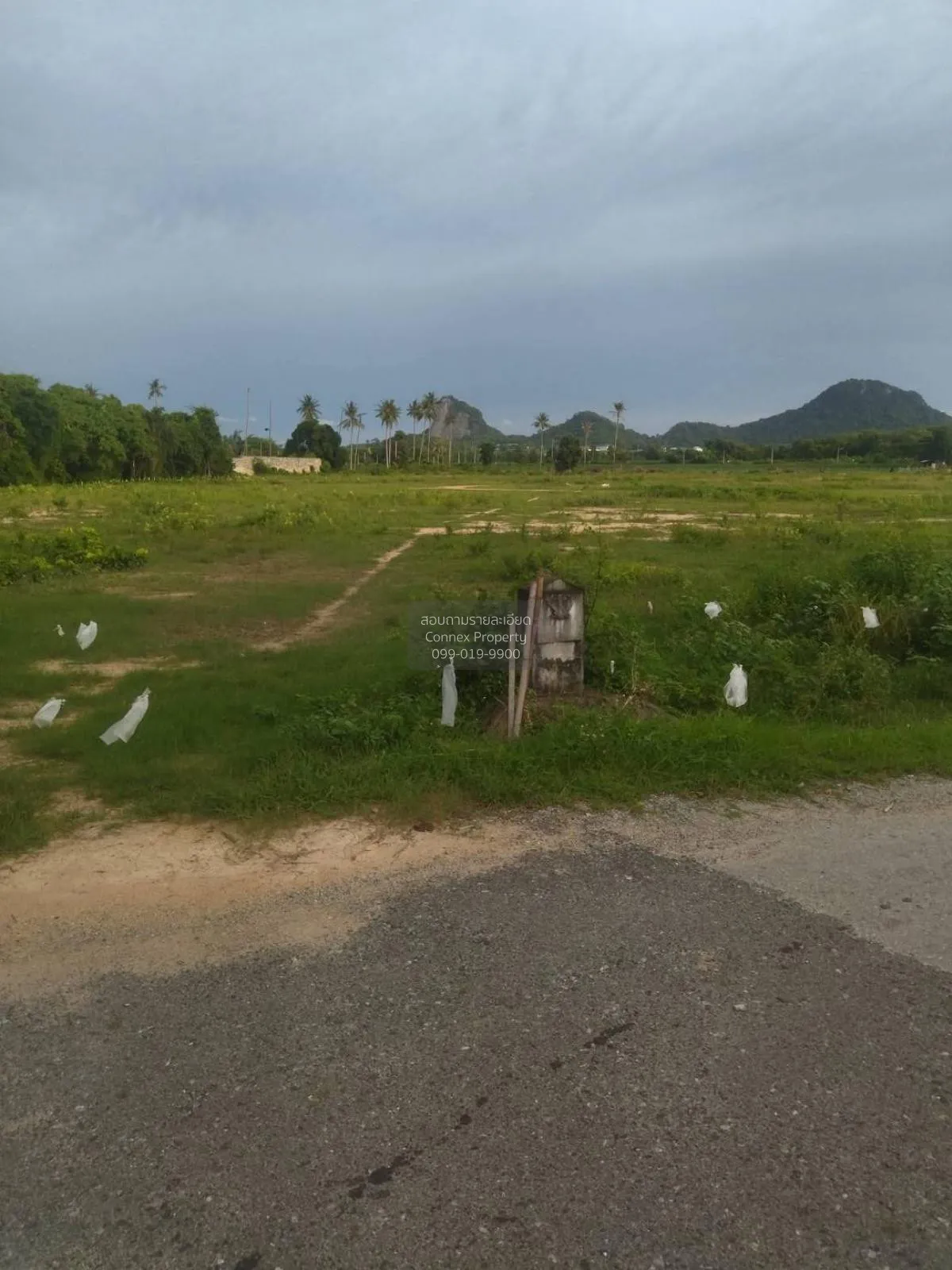 For Sale: Vacant Land, 54 Rai, Adjacent to Viharn Sien, Sattahip 