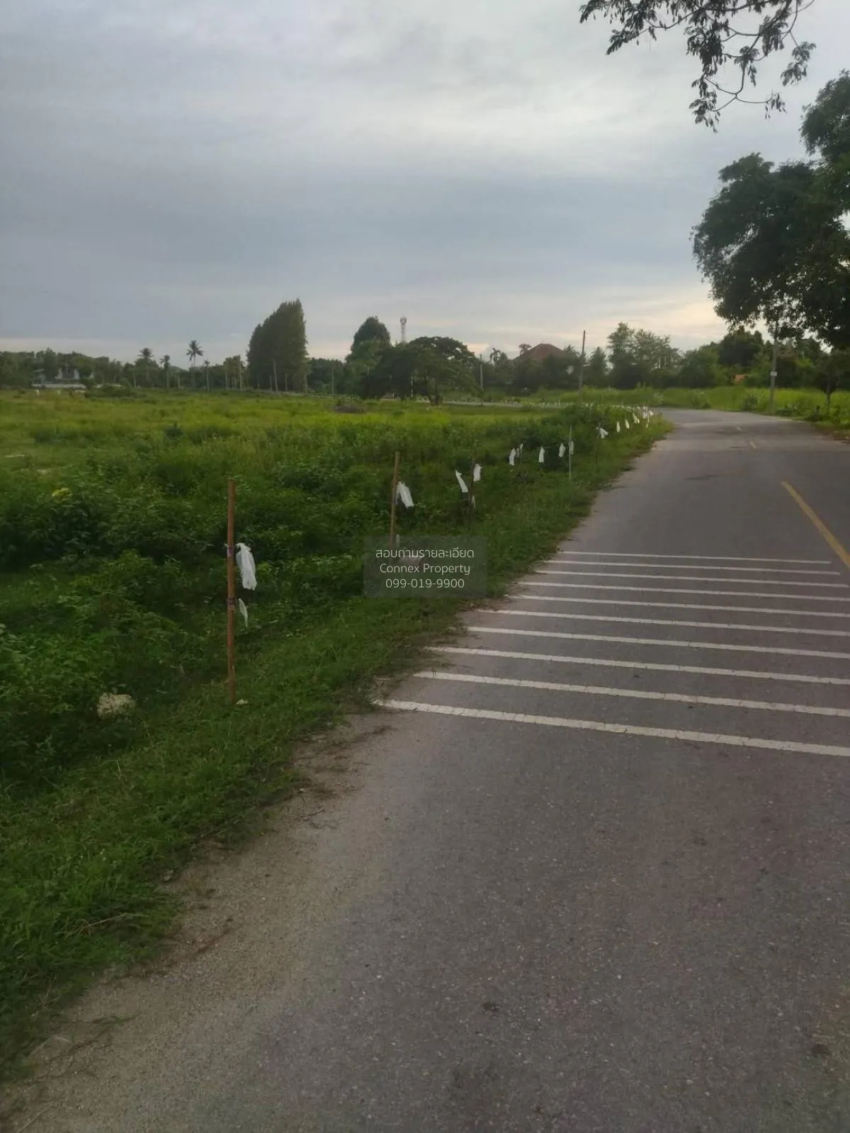 For Sale: Vacant Land, 54 Rai, Adjacent to Viharn Sien, Sattahip 