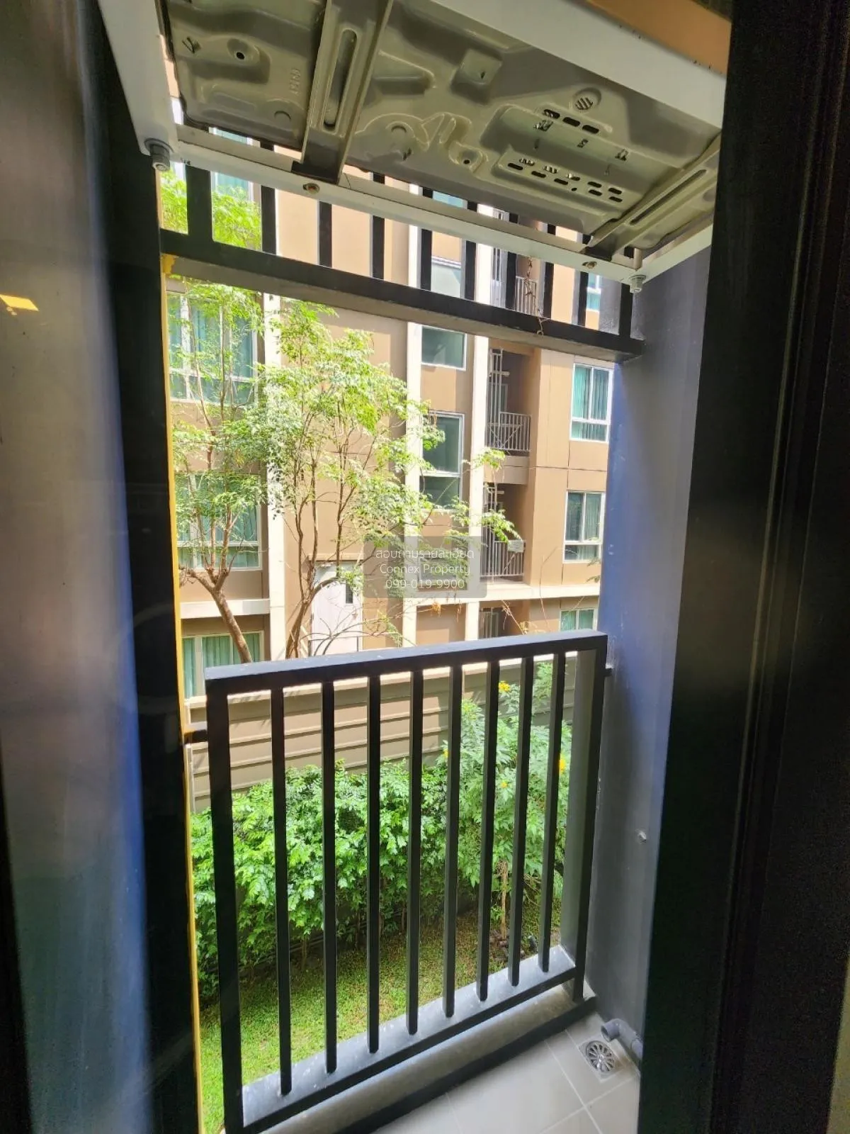 For Rent Condo , D condo shine rangsit , Khlong Nueng , khlong Lu