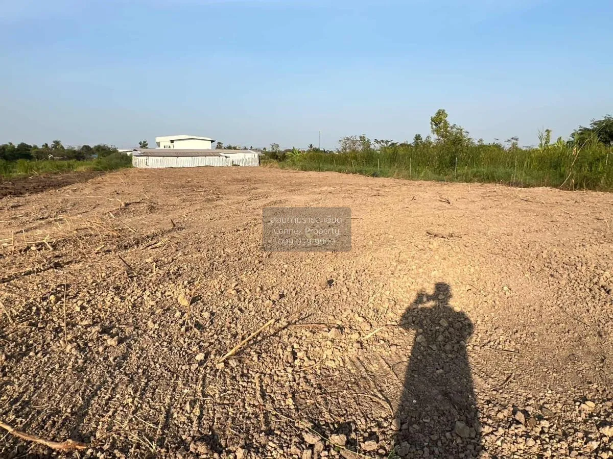 ขายที่ดินถมแล้ว 5-0-54 ไร่  อำเภอบางน้ำเปรี้ยว ฉะเชิงเทรา ศาลาแดง 2