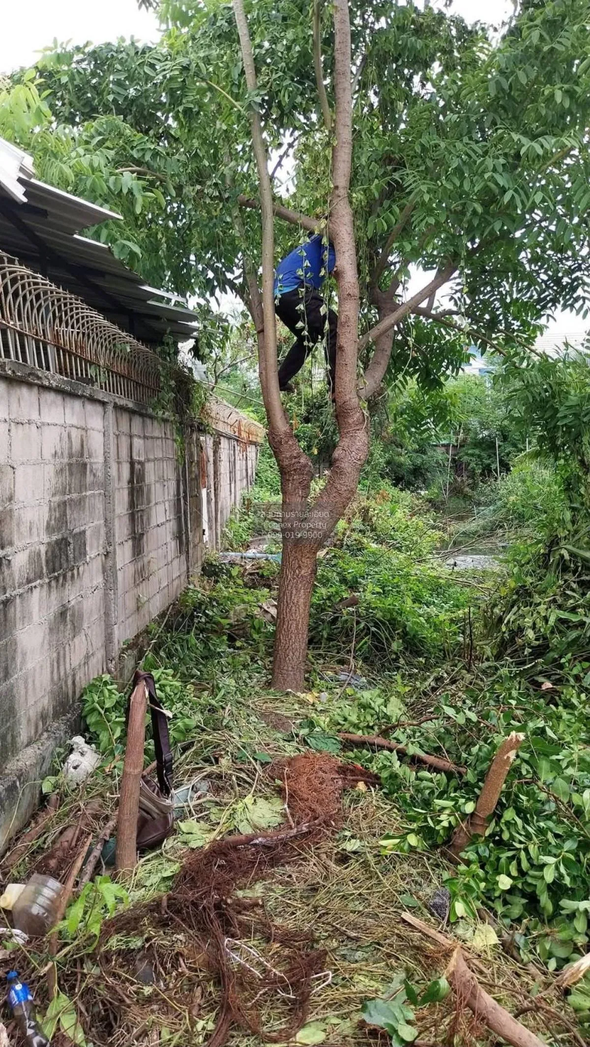 ขายทาวน์เฮ้าส์/ทาวน์โฮม  วิเศษสุขนคร 19 วิวสวย ห้องมุม หน้ากว้าง 