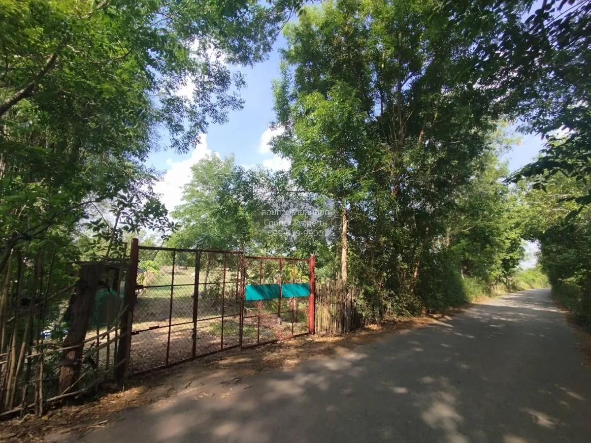 For Sale Land in Muang Phon, Chai Phatthana Village, near the exi 2