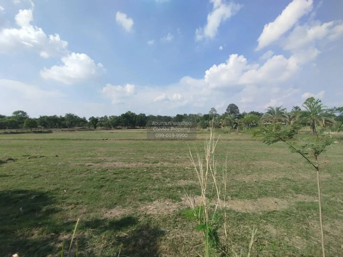 For Sale Land in Muang Phon, Chai Phatthana Village, near the exi 3