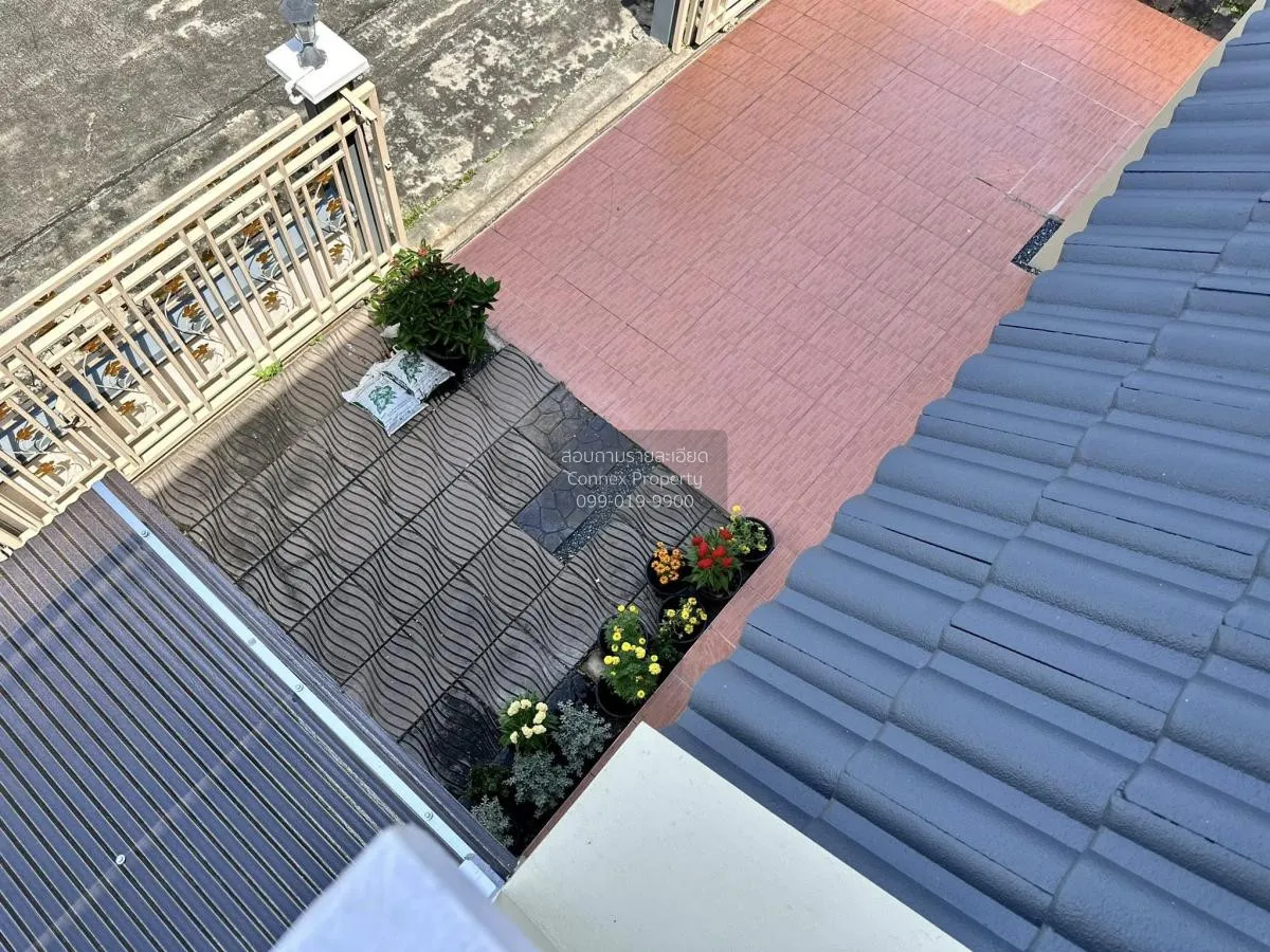 เช่าบ้านเดี่ยวให้เช่าย่านอุดมสุข บางนาเหนือ เขต ประเวศ กรุงเทพ CX