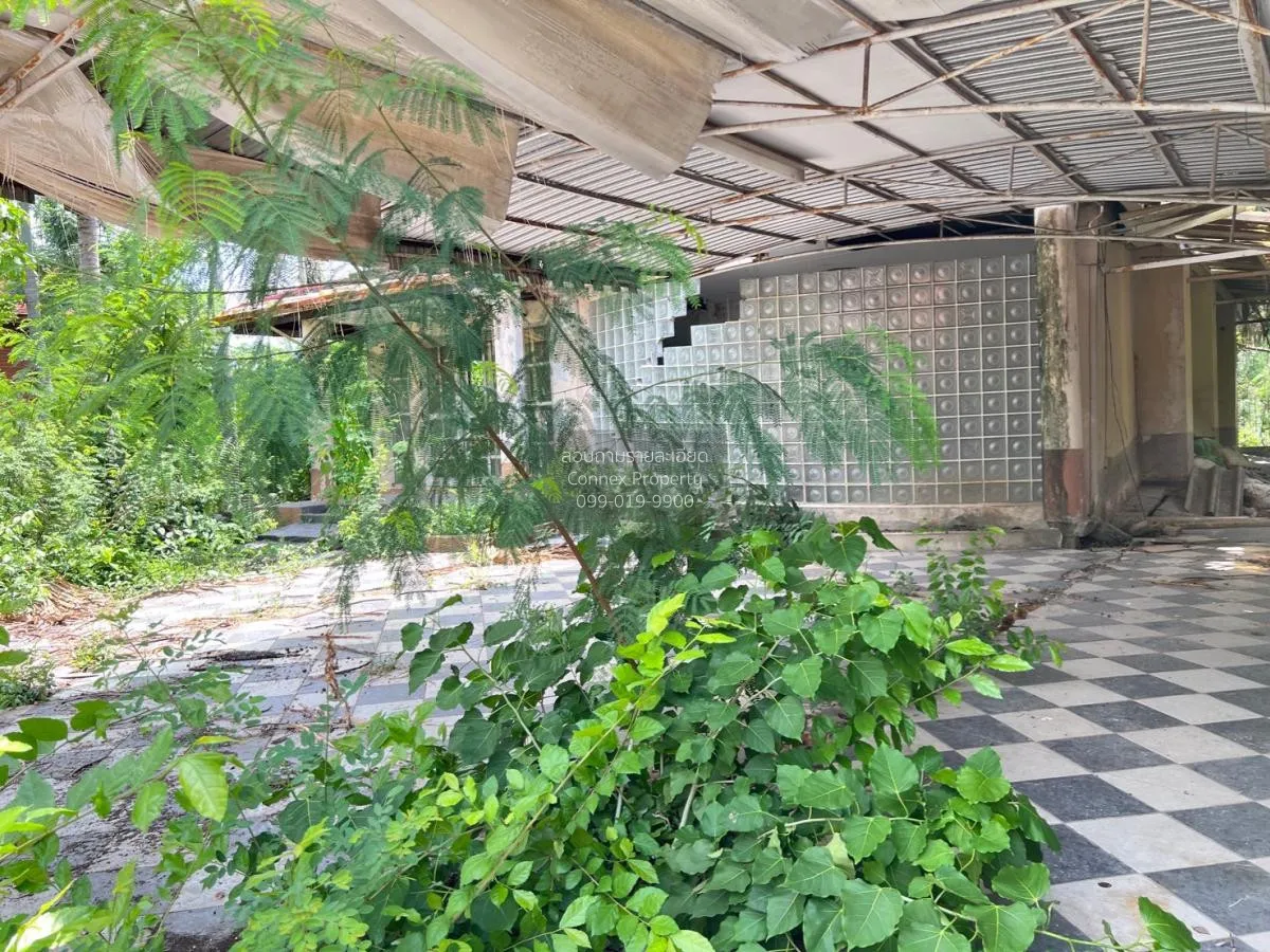 ขายบ้าน  บ้าน กฤษดานคร 29 คลองหนึ่ง คลองหลวง ปทุมธานี CX-135183