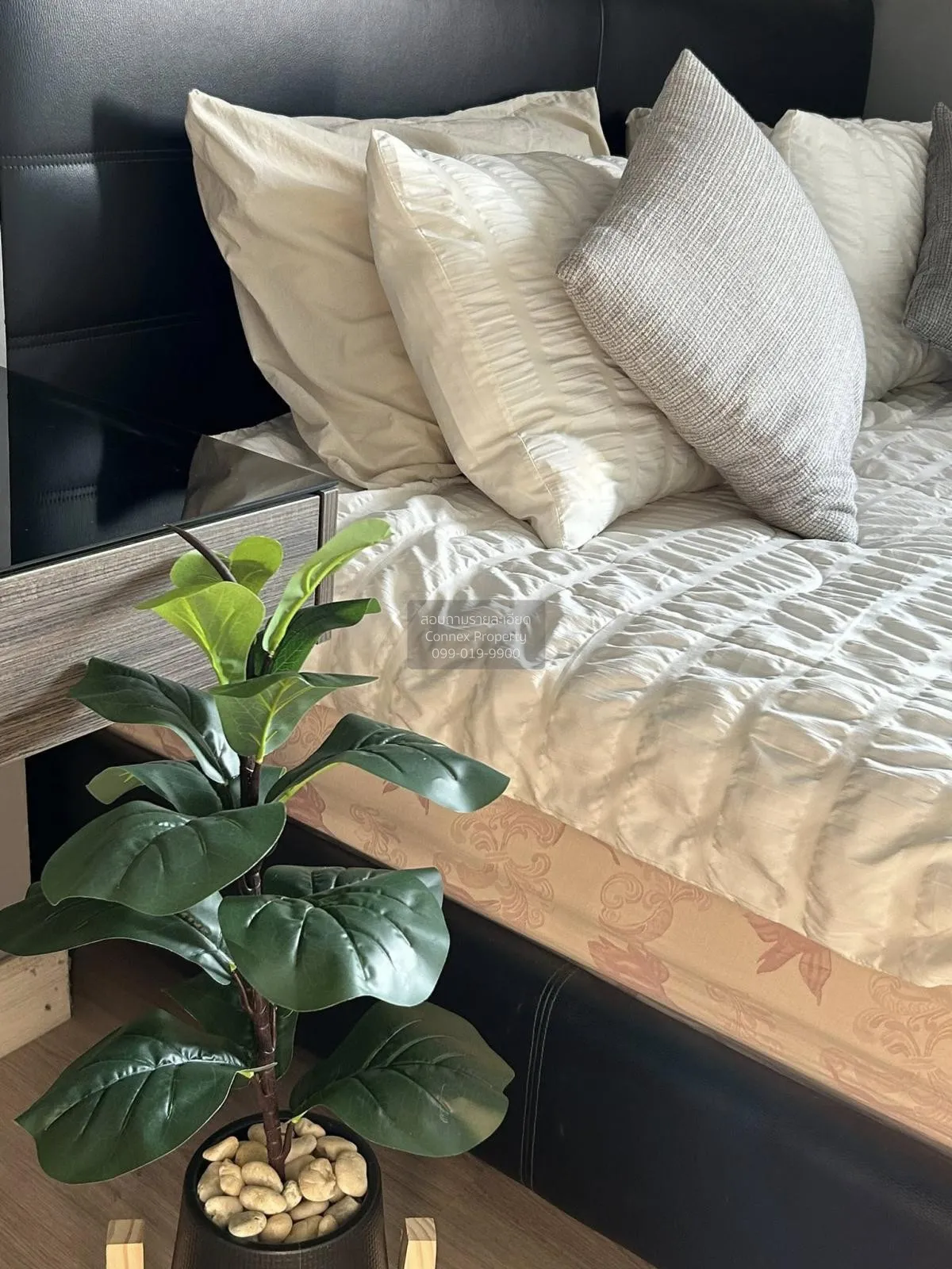 For Rent Condo , The Link Vano Sukhumvit 64 , BTS-Punnawithi , Ba