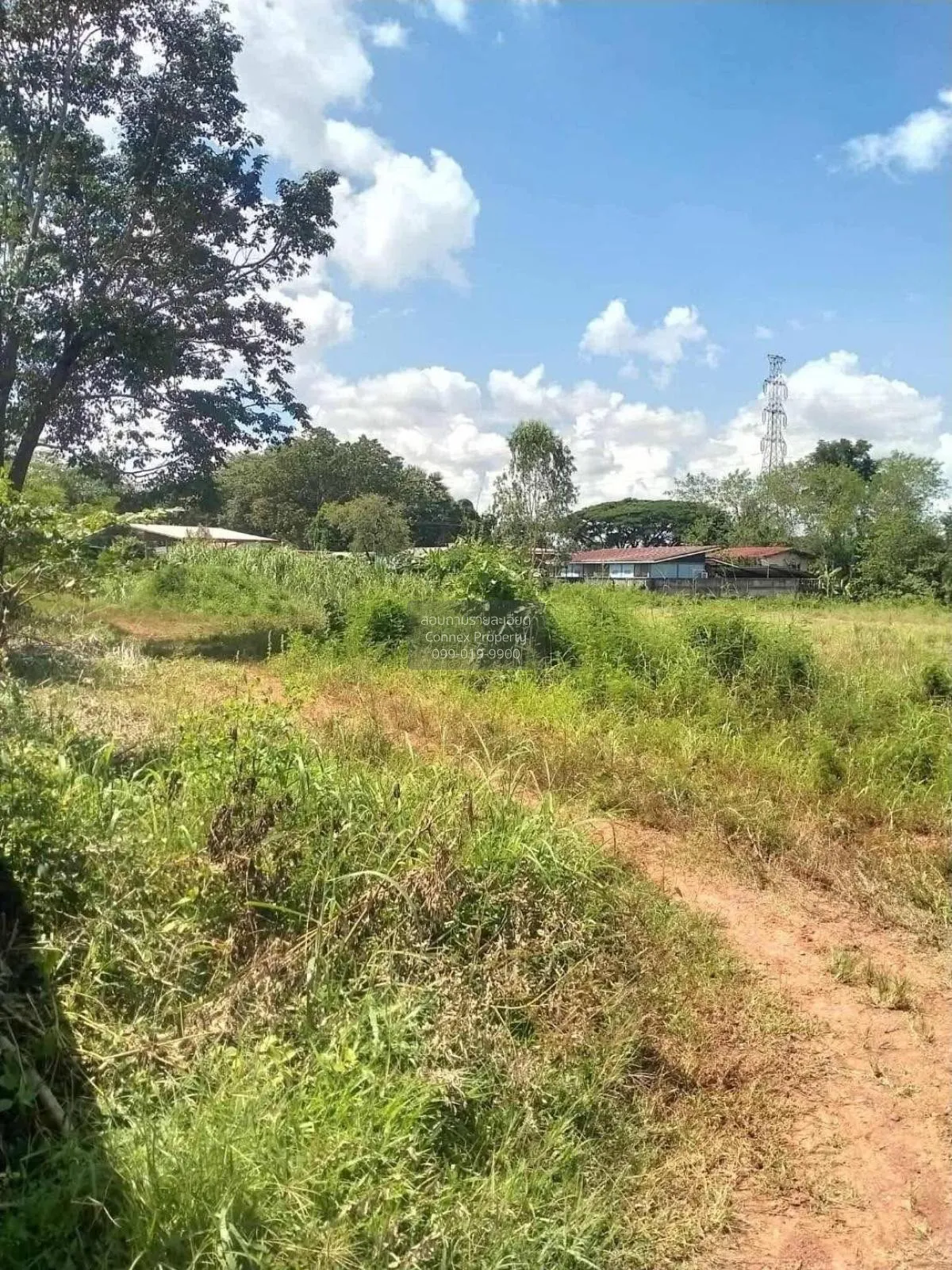 For Sale land area 7-1-6.6 square wah , Ban Phueng , Mueang Nakho 1