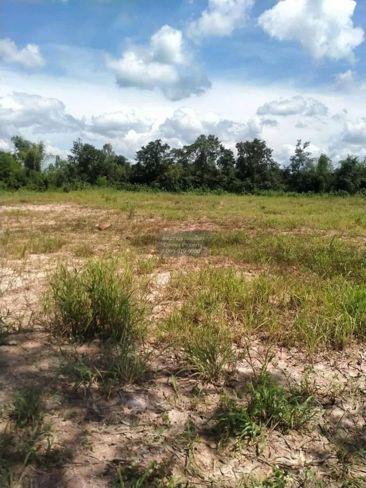 For Sale land area 7-1-6.6 square wah , Ban Phueng , Mueang Nakho 2