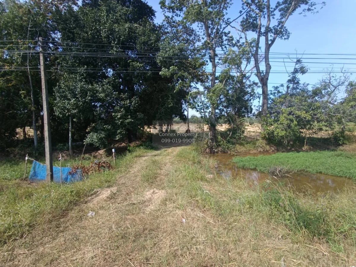 For Sale Land for sale: 9 rai of prime roadside property, beautif 2