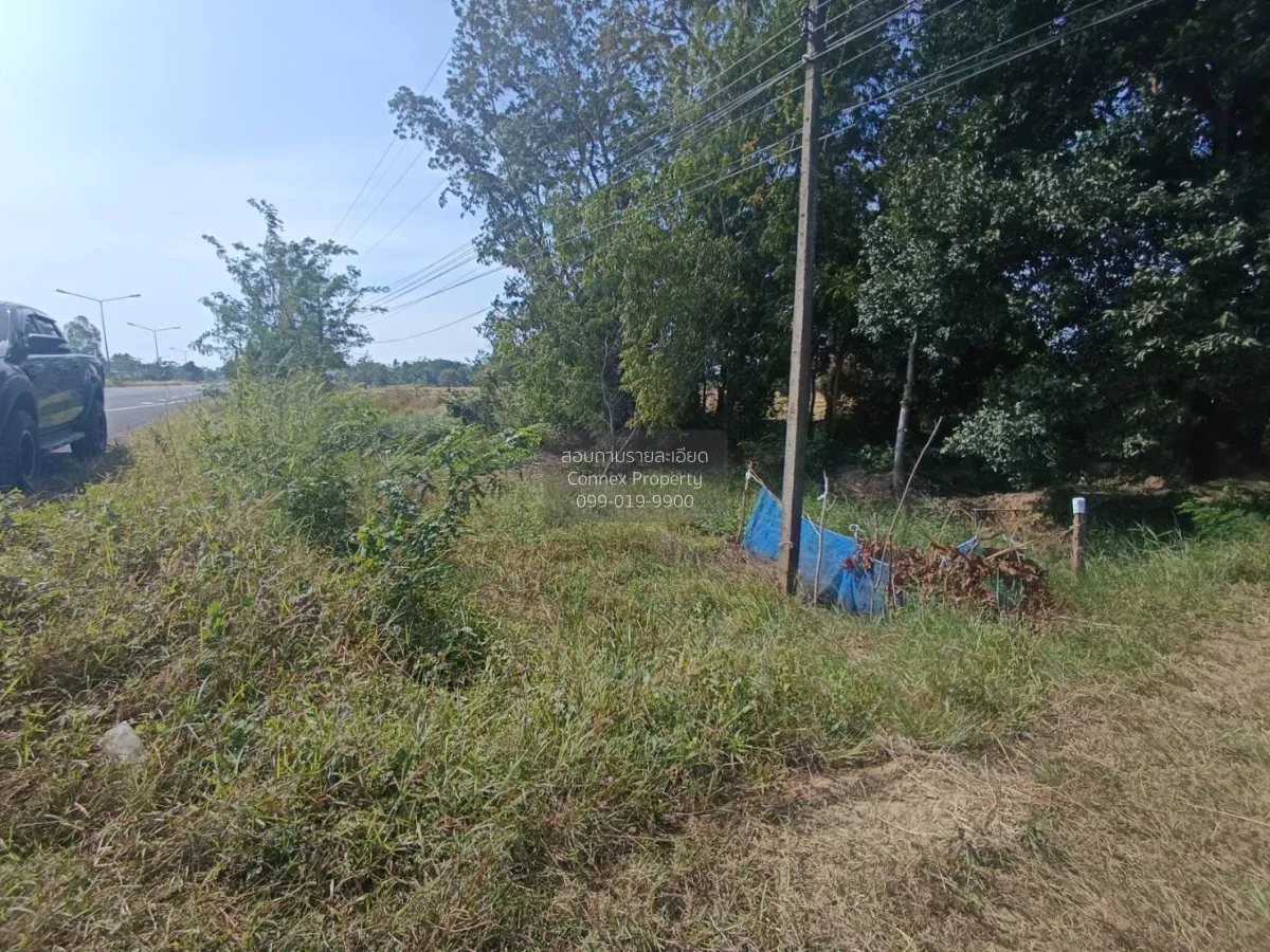 For Sale Land for sale: 9 rai of prime roadside property, beautif 4