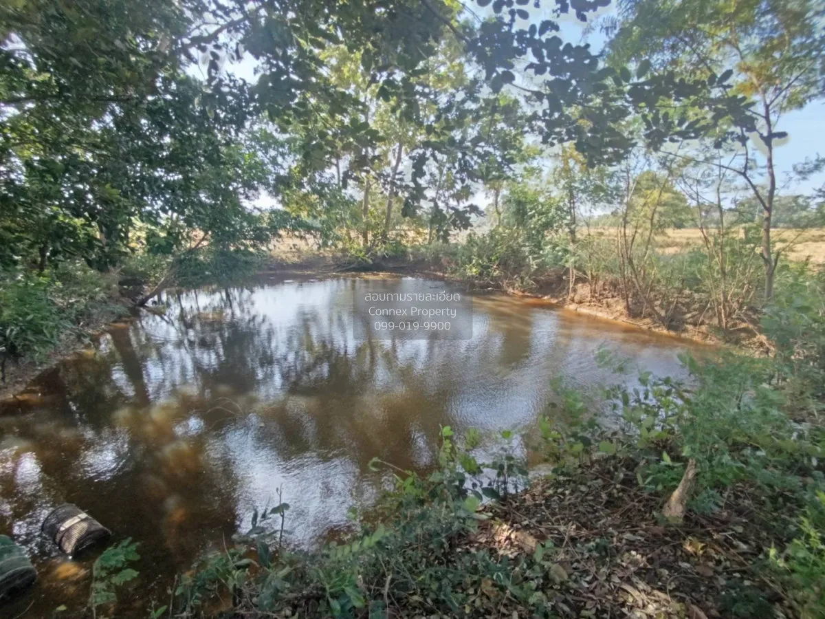 For Sale Land for sale: 9 rai of prime roadside property, beautif