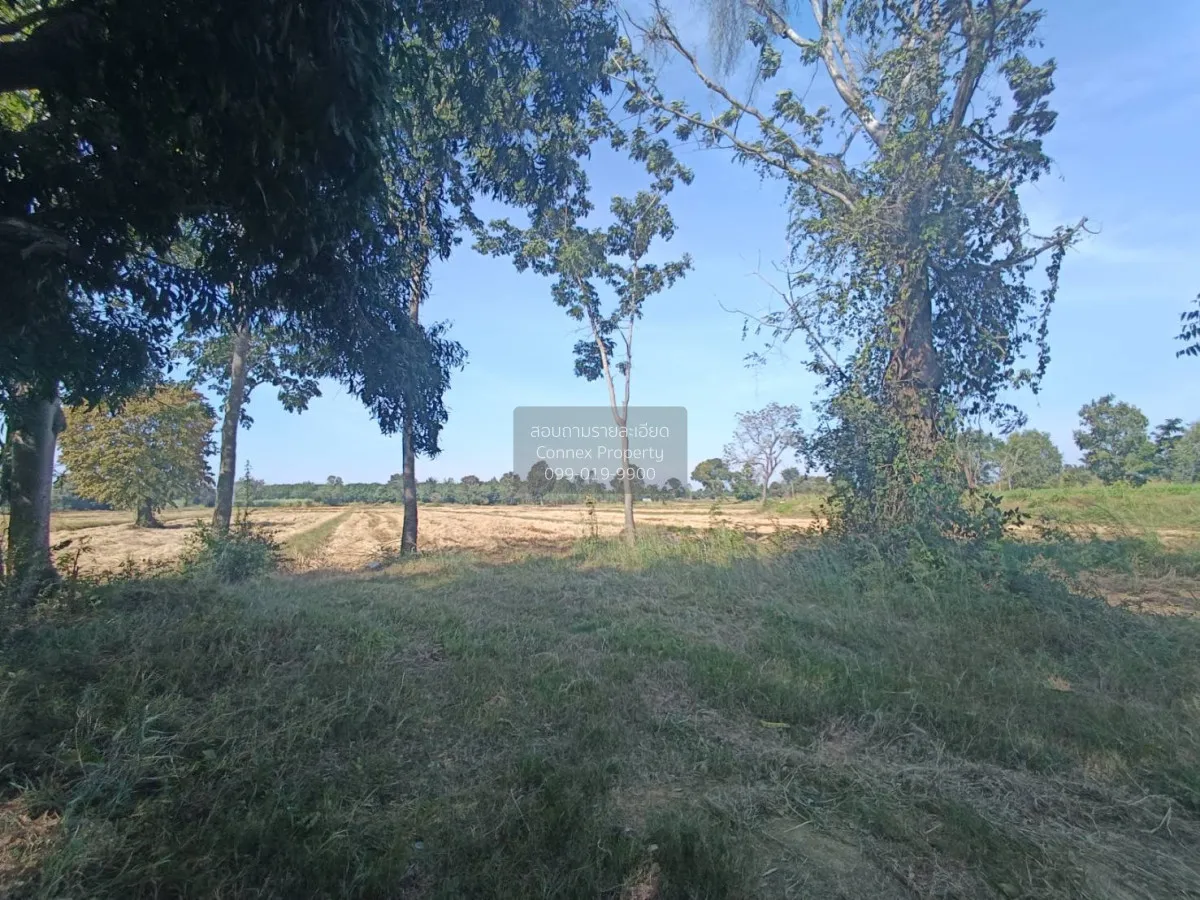 For Sale Land for sale: 9 rai of prime roadside property, beautif