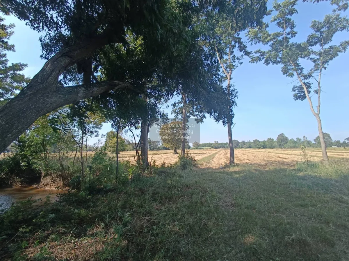 For Sale Land for sale: 9 rai of prime roadside property, beautif