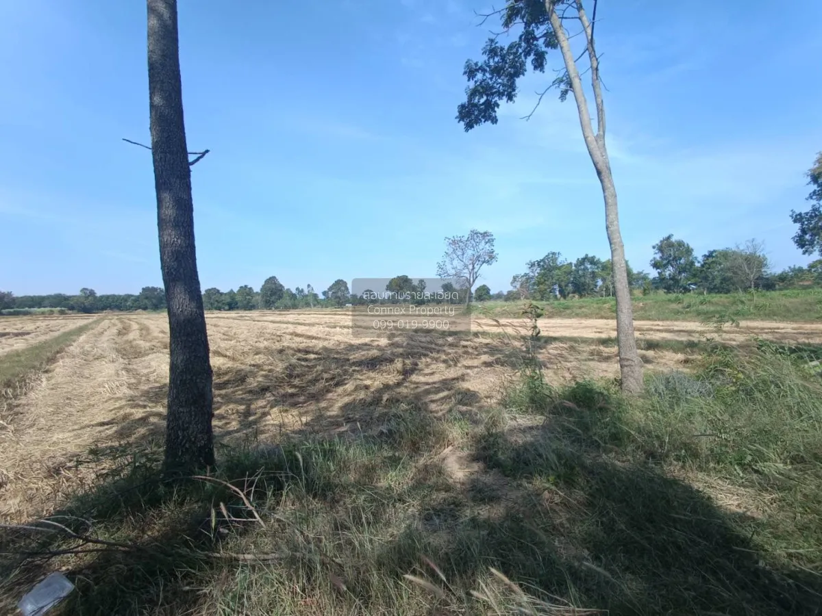 For Sale Land for sale: 9 rai of prime roadside property, beautif