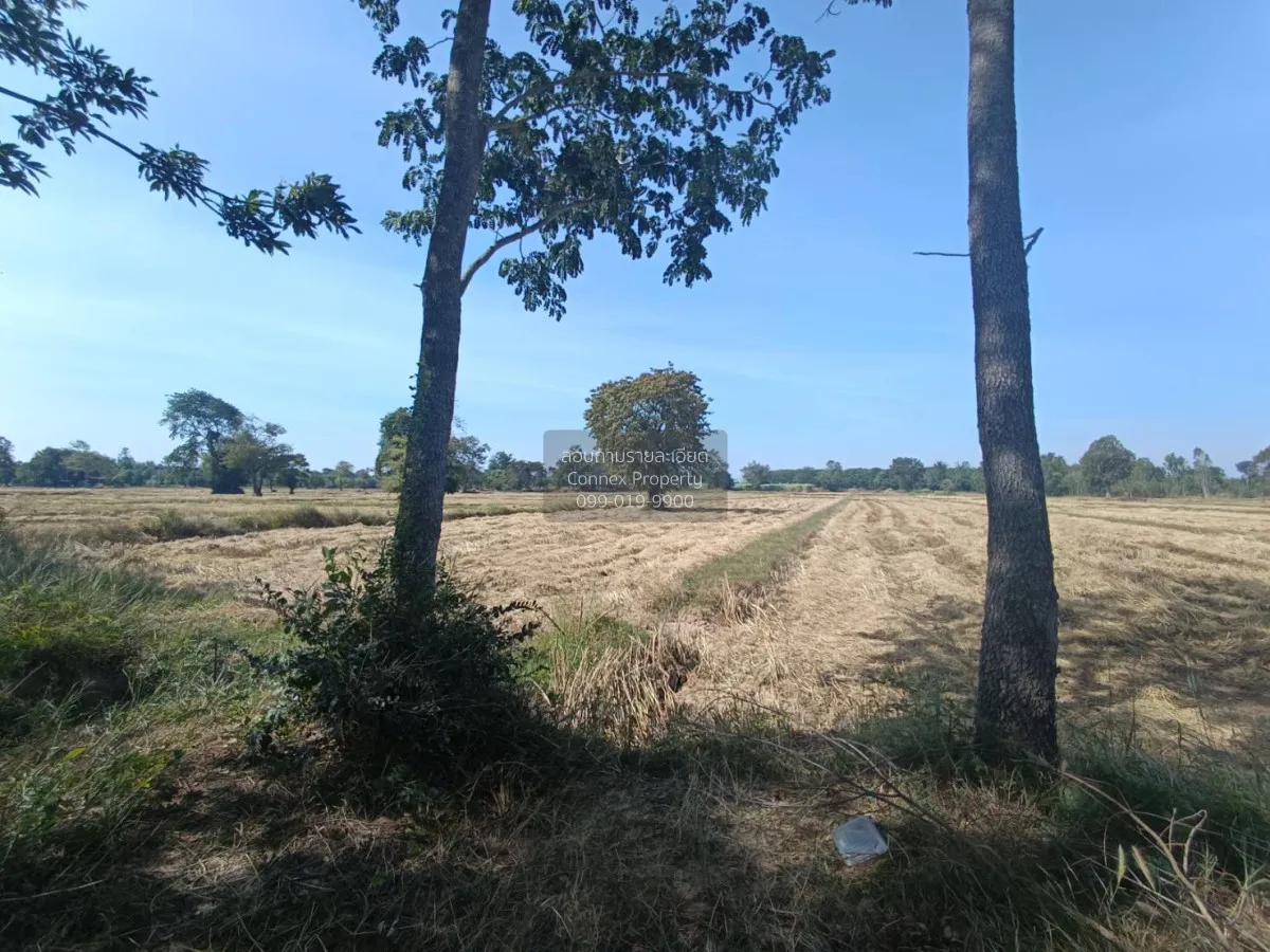 For Sale Land for sale: 9 rai of prime roadside property, beautif