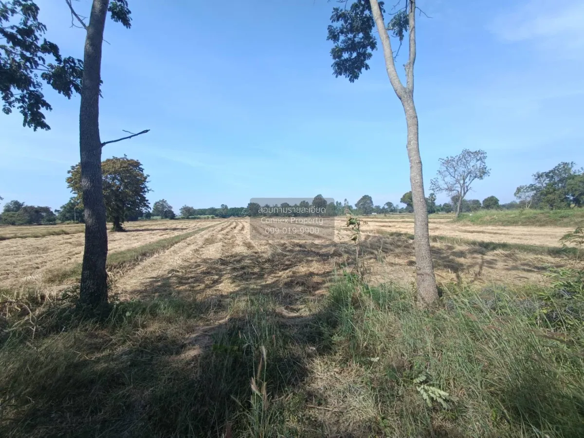 For Sale Land for sale: 9 rai of prime roadside property, beautif