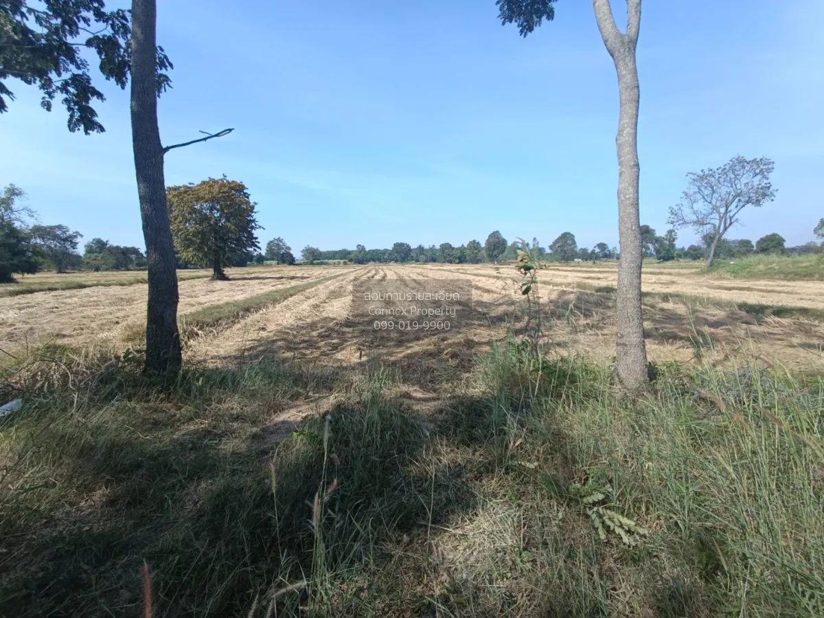 For Sale Land for sale: 9 rai of prime roadside property, beautif