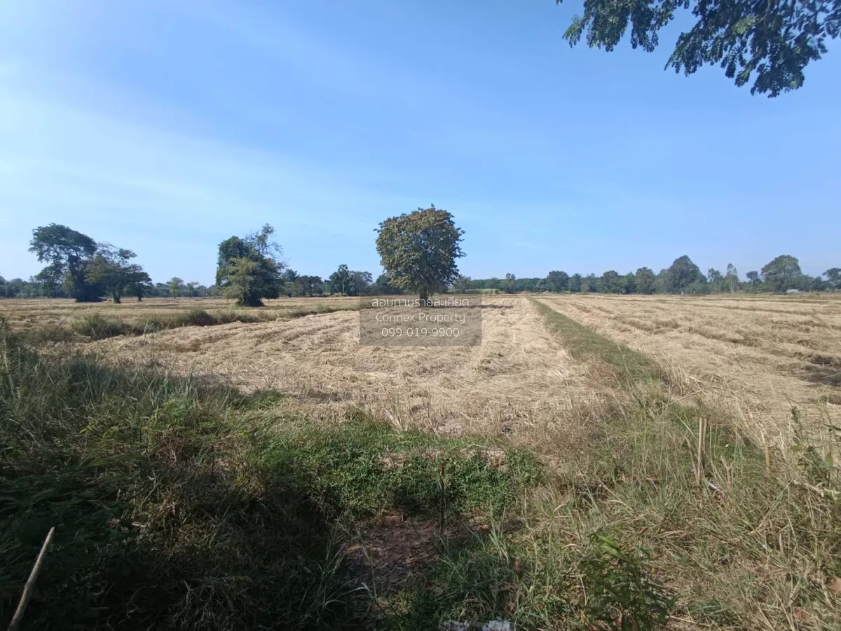 For Sale Land for sale: 9 rai of prime roadside property, beautif